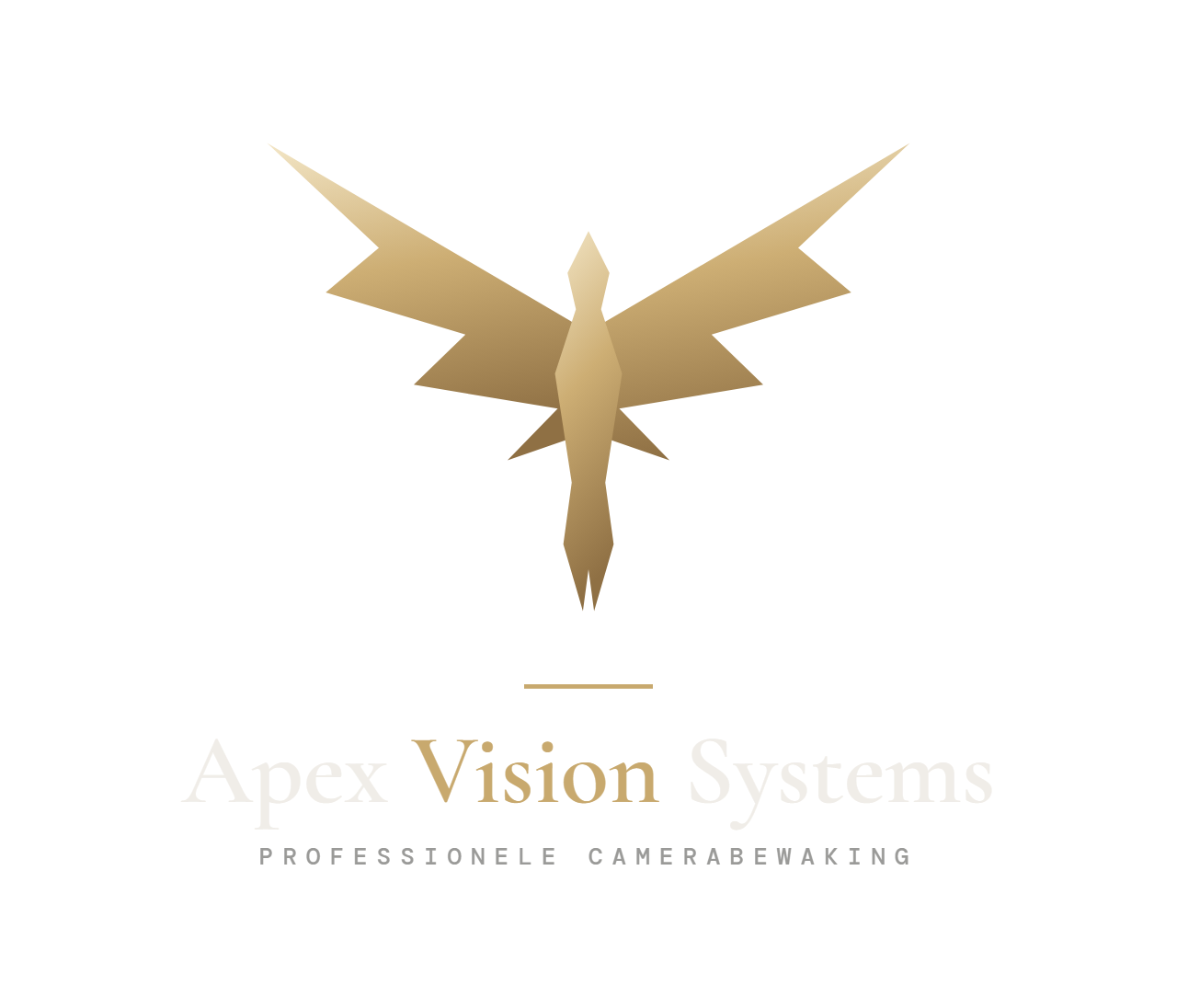 Apex Vision Systems
